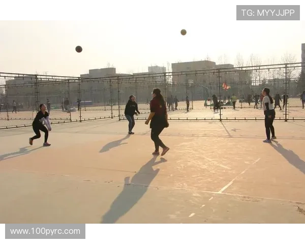 成都排球队的精神风貌与发展历程探讨